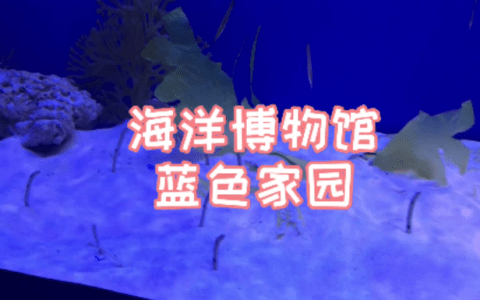 目前免费!!!国家海洋博物馆最新建成“蓝色家园”