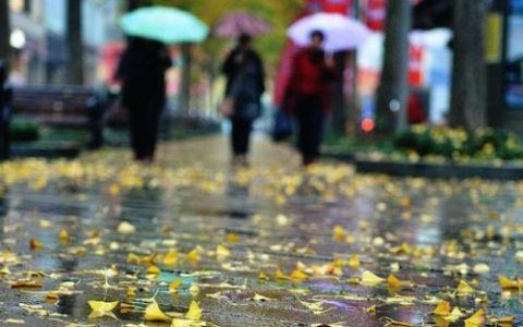 新一轮冷空气将至津城 降温4℃-6℃ 没有明显降水