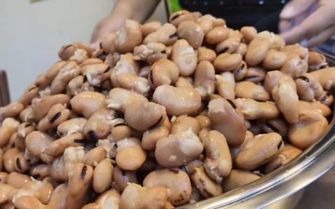 食在天津卫：王姐大乌豆 洪湖里美食必须有一号
