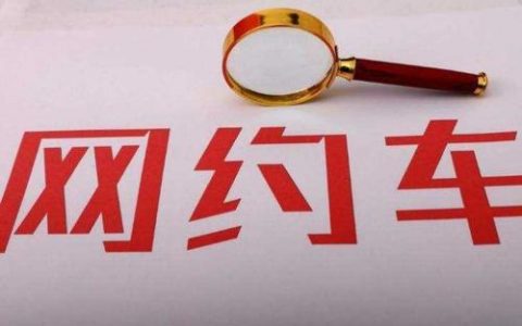 定制款网约车 专业服务司乘
