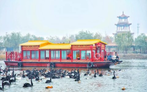 天津曙光水镇乘船投喂鸟禽项目游玩全攻略 快收藏！