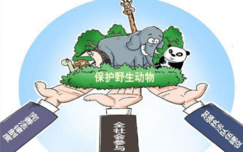 天津“全链条”打击整治破坏野生动物资源犯罪