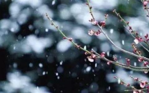 天津本周六或迎雨雪