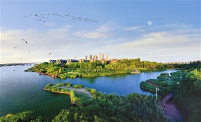 天津：盐碱荒滩上建起30余座公园