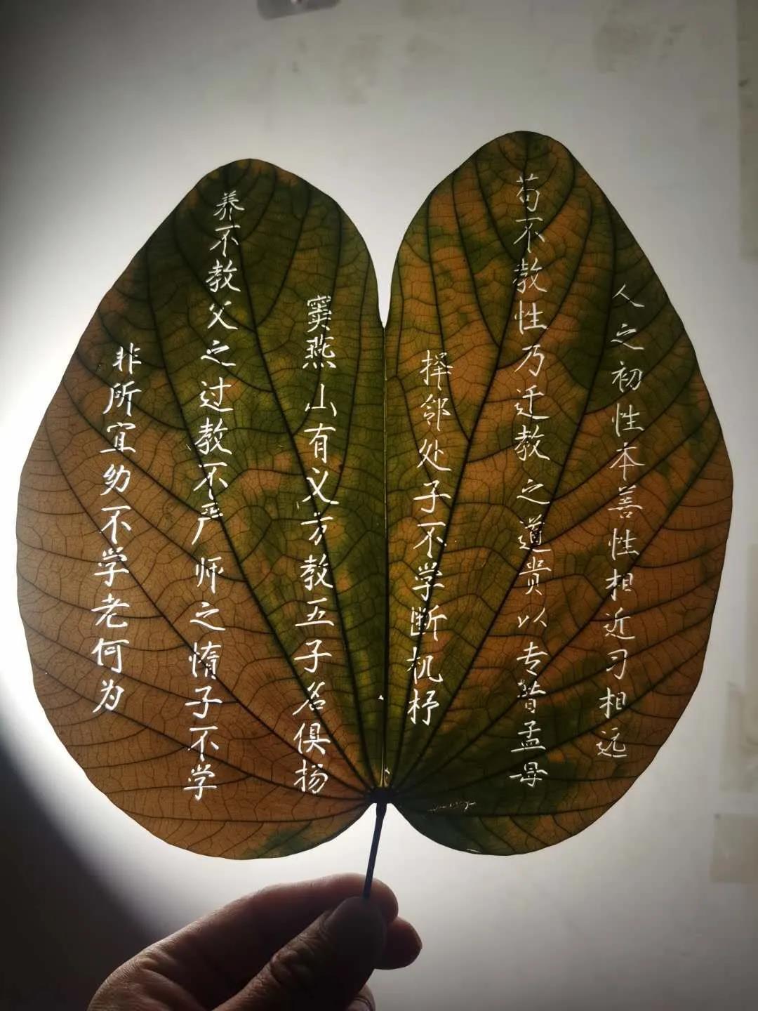 太美了!滨海新区博物馆首届全国叶雕艺术展开展啦!