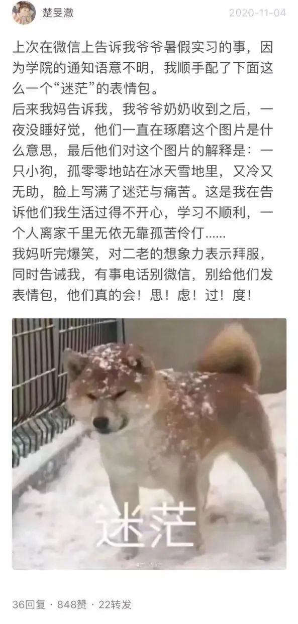 ▲图片来源：豆瓣网友@楚昱澈。