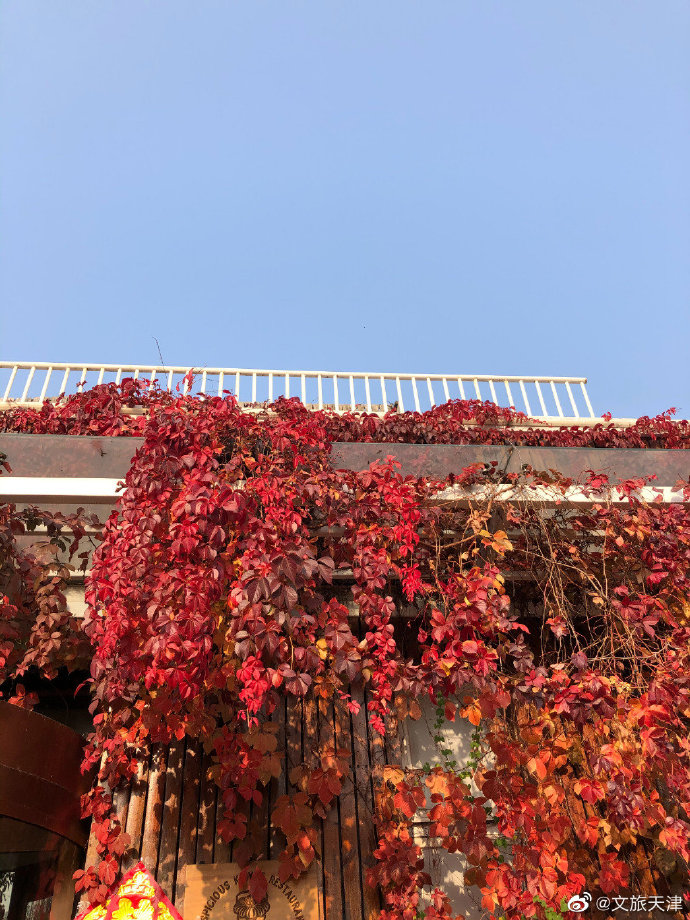 秋末，看红叶去南翠屏吧！
