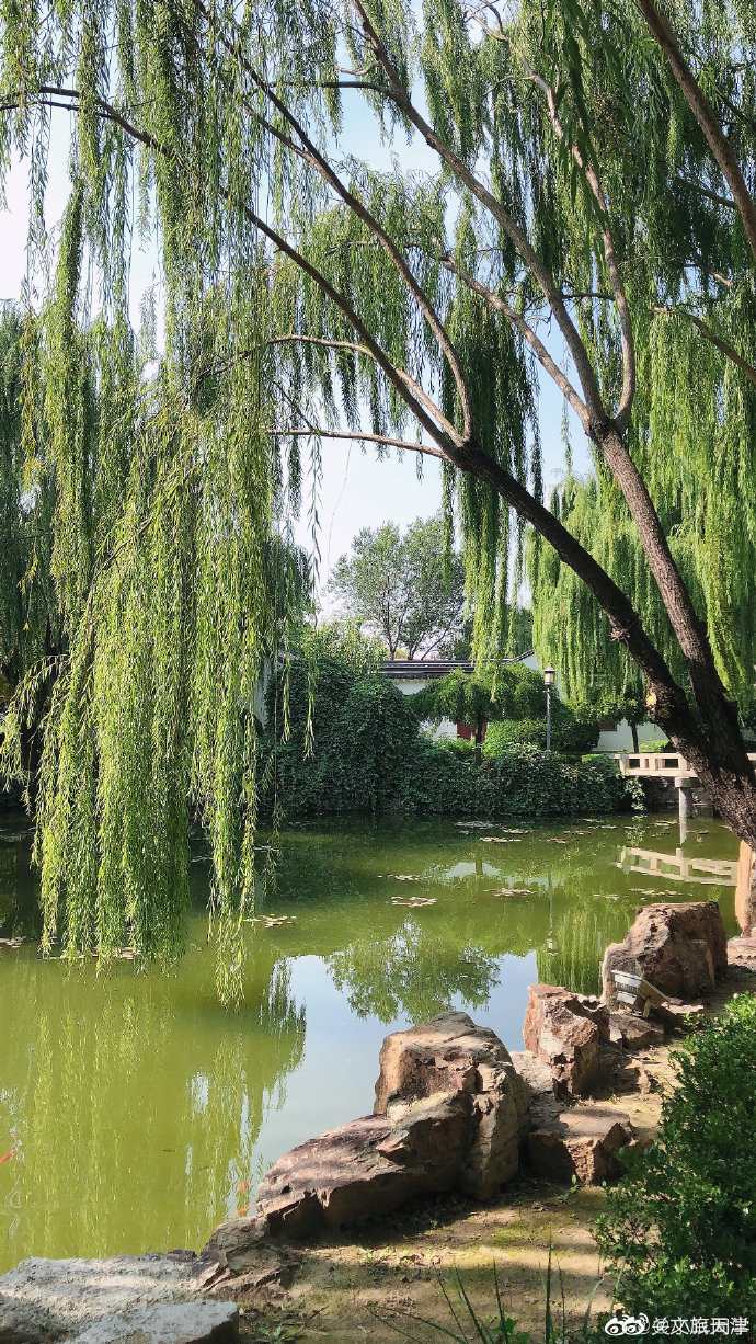 园林大师们称赞不绝的一座天津公园 一起去打卡吧