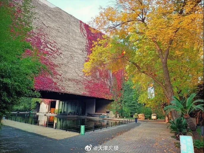 惊艳！天津高校开启五彩秋景模式