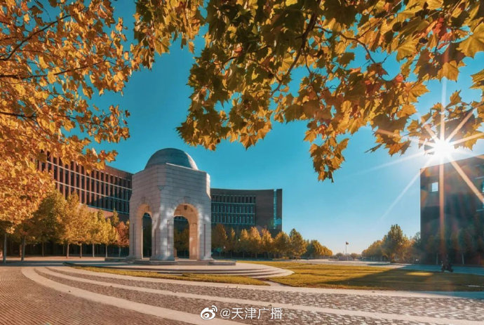 惊艳！天津高校开启五彩秋景模式