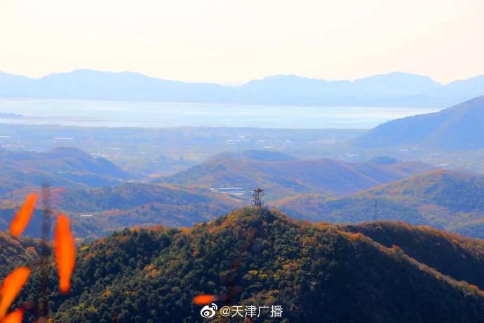 别白跑了！天津九龙山国家森林公园封园