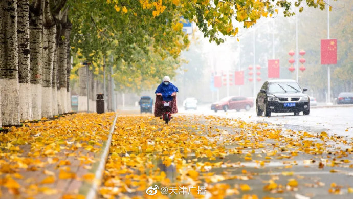 初雪过后，天津气温再跳水