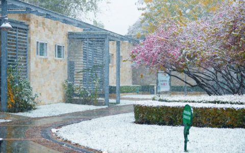 天津21日普遍降雪或雨夹雪 今迎“小雪”冷冷冷！
