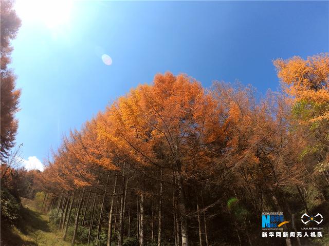 彩色重庆又上线了！每一帧都是一幅画