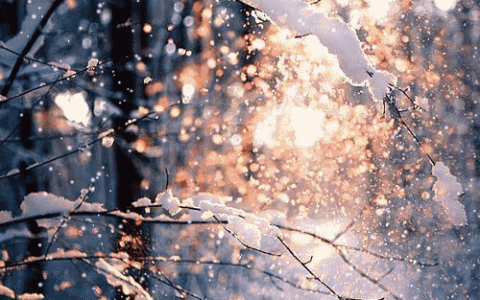 今日大雪！这些“长寿”食材一定要吃！