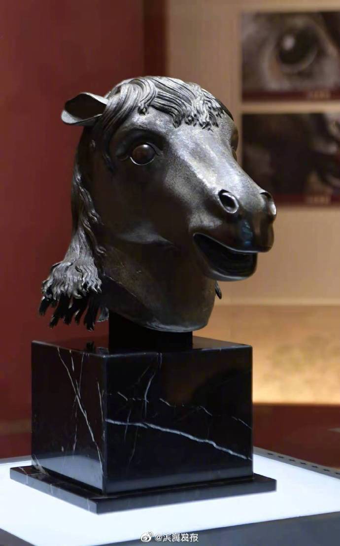 马首铜像阔别160年终于回家！马首铜像入藏圆明园