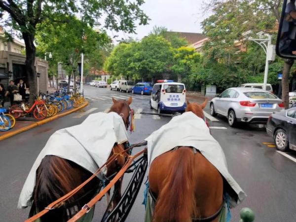 天津将新增一个“宝藏”旅游区！赶快来打卡吧！