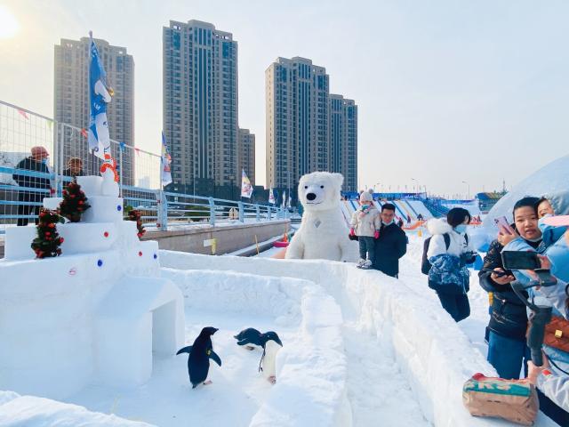 一起来嗨！天津海昌第八届极地冰雪节正式启幕