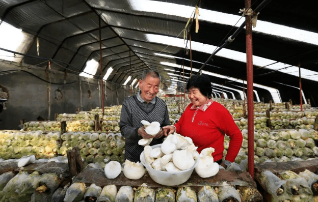 购物！出行！养老！天津一大波好消息来袭！