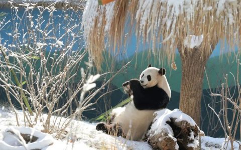 ＠所有人，约起，一块去玩雪！