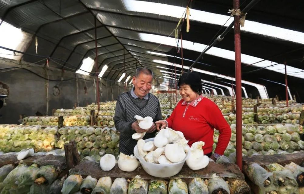 天津6个地方全国示范！赶快去看看