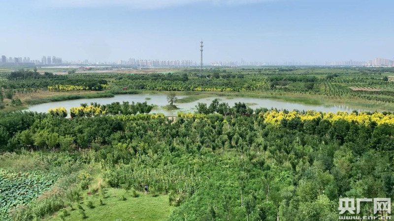 天津高标准建设京津冀东部绿色生态屏障