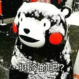 三级响应！大风呼啸！冻手冻脚！天津还要下雪吗？