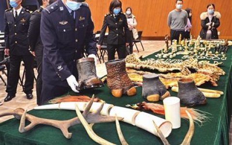 天津海关向国家海洋博物馆移交1724件野生动物制品