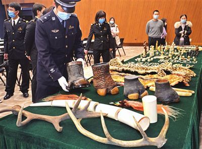 天津海关向国家海洋博物馆移交1724件野生动物制品