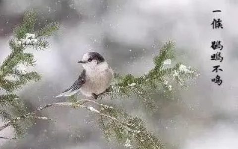 津城一周天气展望 前期中期有雾霾