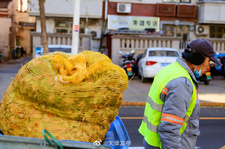 大雪不见雪 落叶满津城