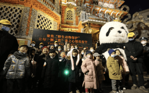 天津瓷房子首开免费夜游 光影互动呼吁保护动物