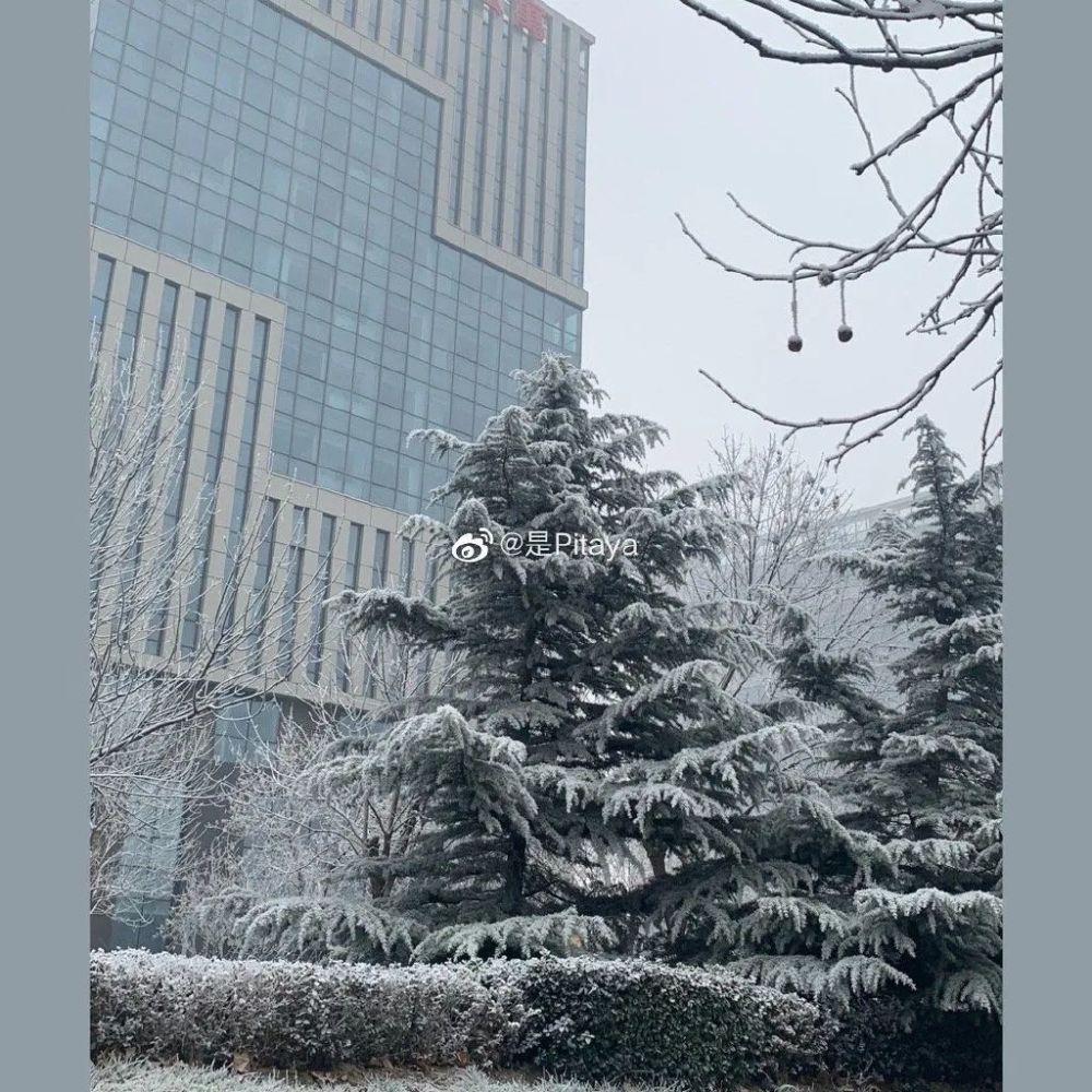 亦雪亦霜？天津下的其实是……