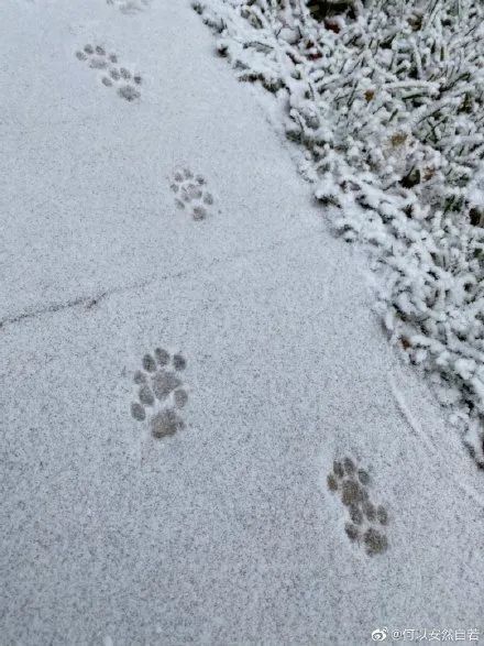 天津今天下雪了？重头戏还在后面！