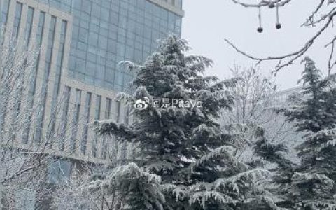 滨海人，今天最高气温-1℃！冷！