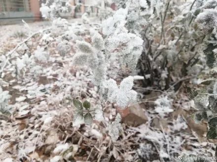 天津今天下雪了？重头戏还在后面！