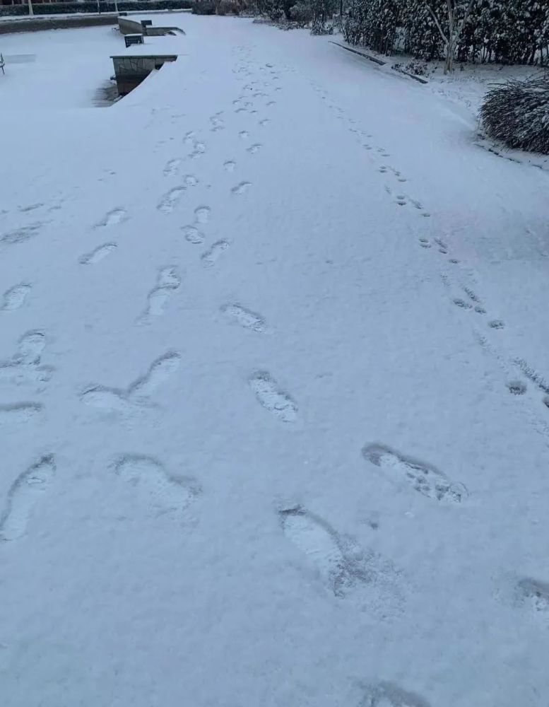 “雪姑娘”如约而至！滨海新区发布道路结冰黄色预警