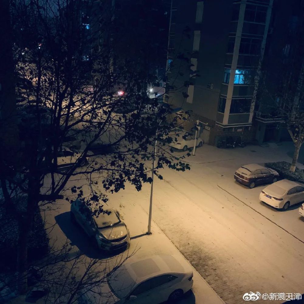 好开心，天津昨夜下雪了！未来还有好消息！