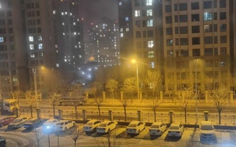 好开心，天津昨夜下雪了！未来还有好消息！