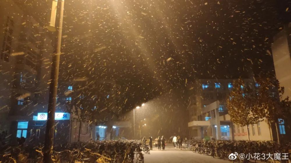 好开心，天津昨夜下雪了！未来还有好消息！