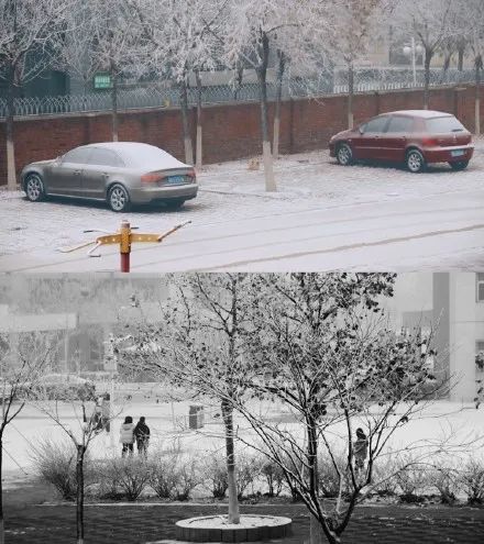 好开心，天津昨夜下雪了！未来还有好消息！