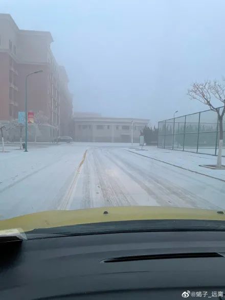 好开心，天津昨夜下雪了！未来还有好消息！