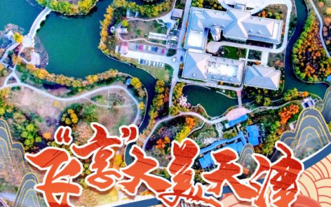 飞“享”大美天津，这个视角你或许没见过