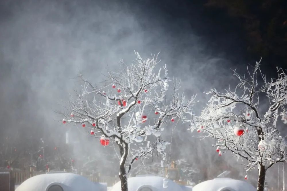 赏雪～滑雪～玩雪！蓟州这处冰雪王国即将亮相！