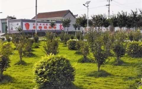 蓟州环境综合整治“百日会战”显成效 京津“后花园”如今这么靓