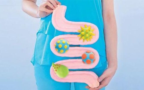 婴儿肠道菌群 或来自母体多个部位