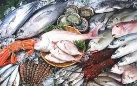 全国进口冷链食品追溯管理平台上线运行