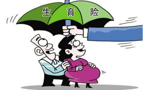 天津生育保险的缴费标准是怎么样的?办理须知
