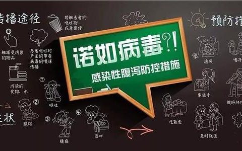 诺如病毒来袭，各方行动起来