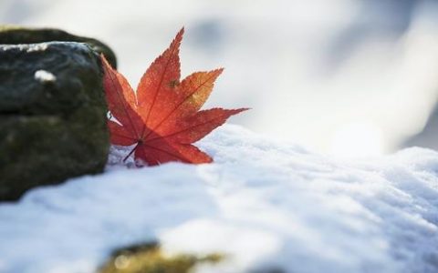 天津：“大雪”气温低 一定多穿衣